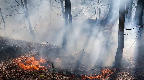 ۶۶۵ نقطه بحرانی منابع طبیعی شناسایی شد