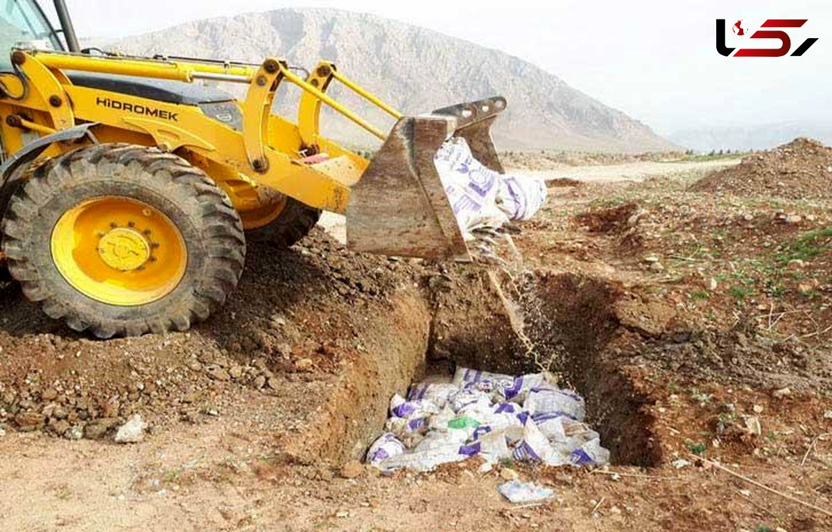 ۴۳ هزار قطعه جوجه گوشتی در خوشاب خراسان رضوی معدوم شد