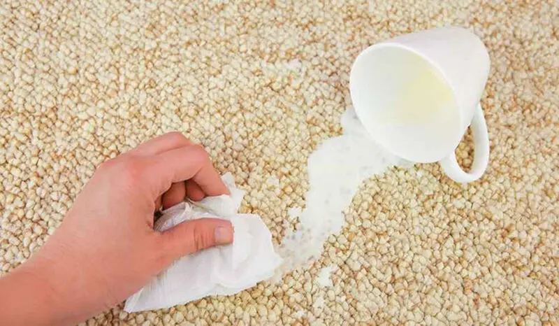 از بین بردن لکه و بوی بد شیر