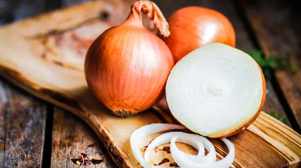 ارتباط مصرف پیاز با سرطان روده