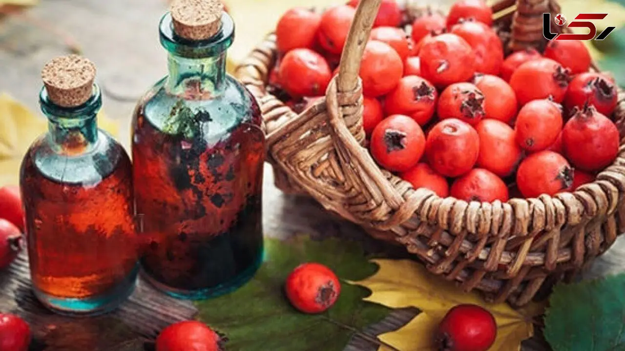 زالزالک بخورید تا ریزش مو نگیرید