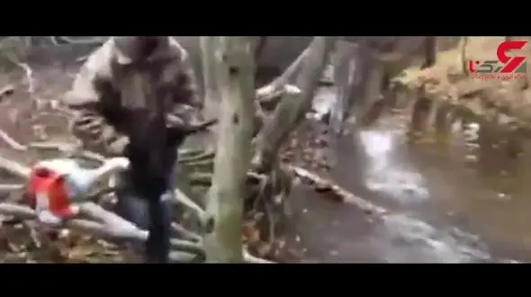 پایان خوش شاخ به شاخ شدن ! + فیلم 