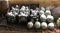 کشف 100 نارنجک دست ساز در کرمانشاه