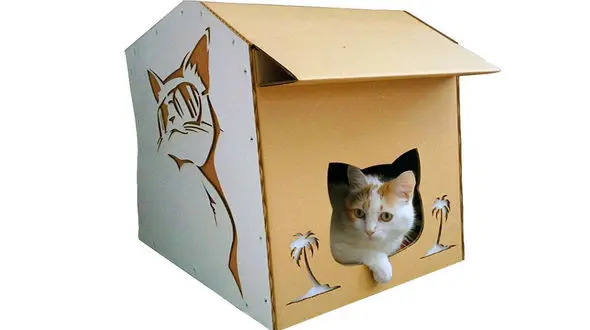 نحوه ساخت خانه برای گربه های شهری
