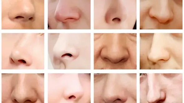 زیباترین بینی جهان بدون عمل + عکس