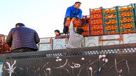 قیمت میوه پایین می آید/ 3 هزار تن میوه از فردا در تهران توزیع می شود