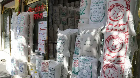 قیمت برنج ایرانی و پاکستانی در بازار امروز
