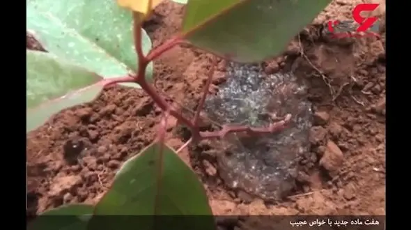 خواص عجیب و غریب برخی ماده ها که به تازگی کشف شد+فیلم