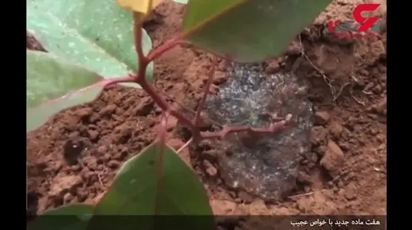 خواص عجیب و غریب برخی ماده ها که به تازگی کشف شد+فیلم