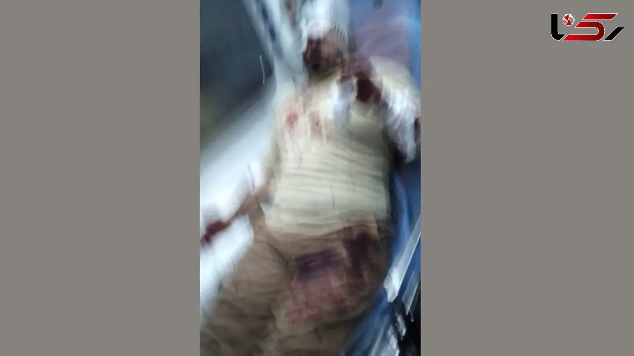 ناگفته های مرد روحانی از حمله خونین پسران 16 ساله در پارک / در تهرانپارس رخ داد + عکس