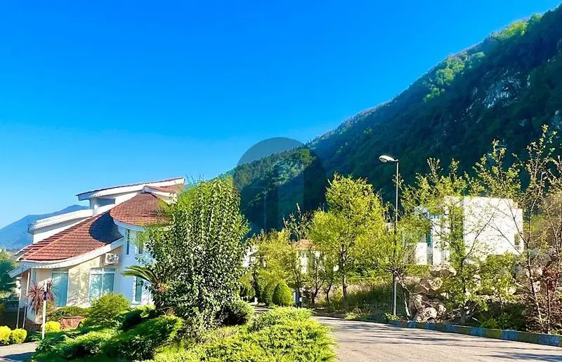 علی دایی