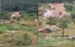 عقب‌ نشینی میراث چند میلیون‌ ساله زیر چرخ لودرها / وقتی ویلا ها نفس هیرکانی را می‌ برند /  چیزی از طبیعت شمال برای نسل‌ های بعد باقی نمی‌ ماند + عکس