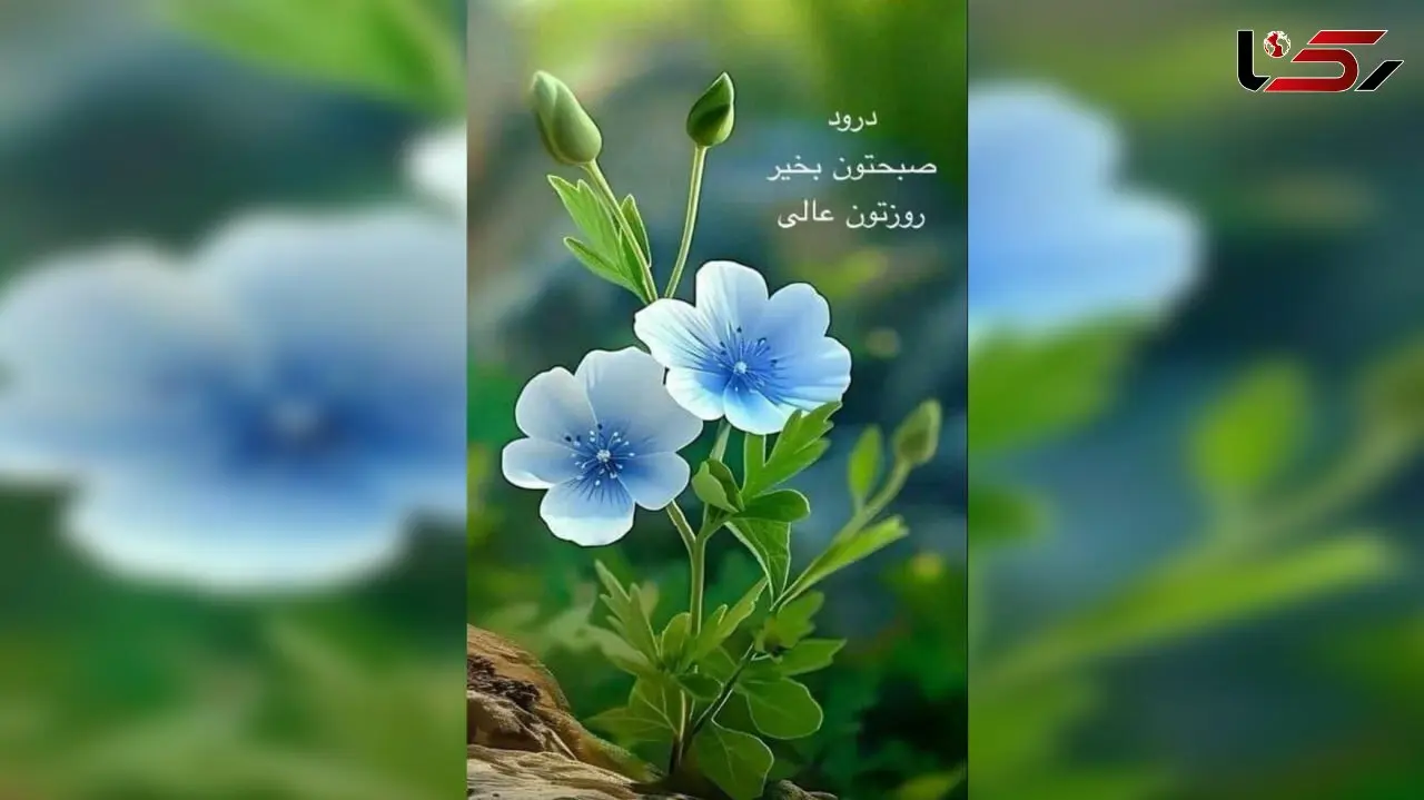 فال ابجد 16 اردیبهشت 1404 + فیلم