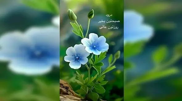 فال ابجد 16 اردیبهشت 1404 + فیلم