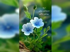 فال ابجد 16 اردیبهشت 1404 + فیلم
