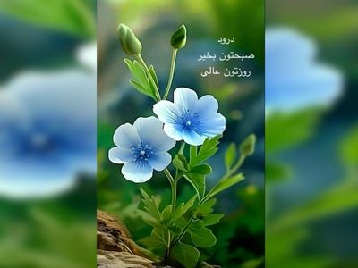 فال ابجد 16 اردیبهشت 1404 + فیلم