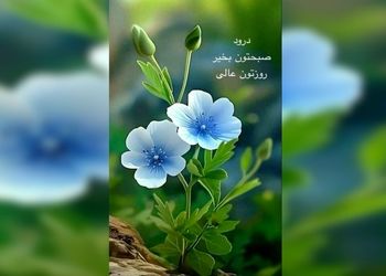 فال ابجد 16 اردیبهشت 1404 + فیلم