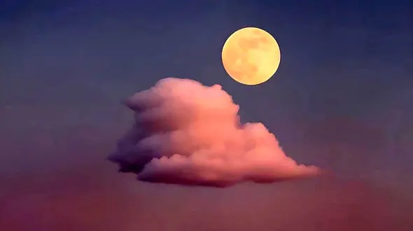 فال و طالع بینی روزانه 2 اردیبهشت 1405