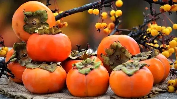 خرمالو و سلامتی روده: شیوه درست مصرف و نکات ضروری