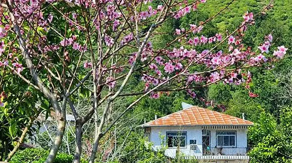 فال روزانه شخصی هفتم عید 1402 + فیلم 