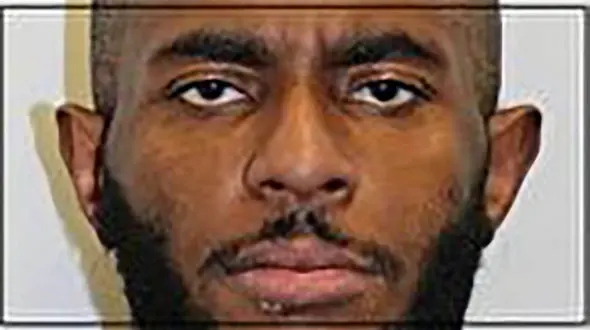 6 ماه زندان برای سلاخی یک گربه‌ انگلیسی 