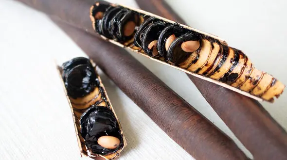 فلوس چیست؟ / درمان بسیاری از مشکلات بدن با فلوس