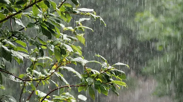 کاهش دمای هوا در سراسر کشور/ احتمال بارش باران در این استان ها