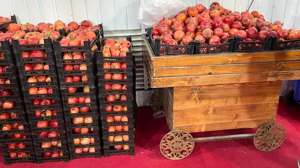 گزارش اختصاصی رکنا از جشنواره انار و سوغات استان ها + فیلم و عکس 