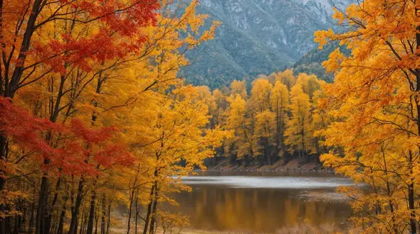 شعر پاییز با صدای رشید کاکاوند + فیلم