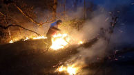  آتش‌سوزی جنگل‌های الندان ساری و شهیدآباد بهشهر مهار شد