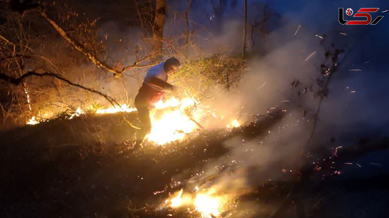  آتش‌سوزی جنگل‌های الندان ساری و شهیدآباد بهشهر مهار شد