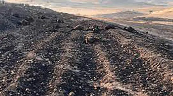 زندگی 3 خانواده عشایری و دام هایشان در آتش سوخت + فیلم