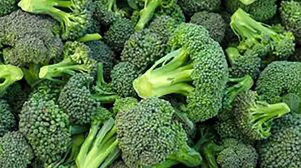 سبزیجاتی که برای دیابتی‌ها مناسب است 