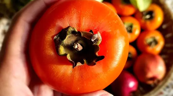 فال ابجد محشر 14 آبان + فیلم