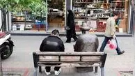 تهرانی‌ها پر درآمدترین خانوار شهری هستند