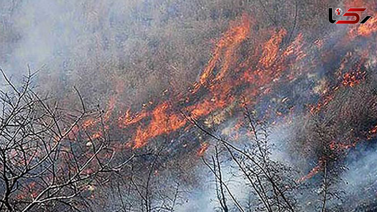  آتش سوزی 20 هکتاری در جنگل های مینودشت