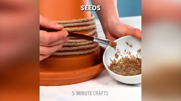 در پشت گلدان سبزه بکاریم+ فیلم 