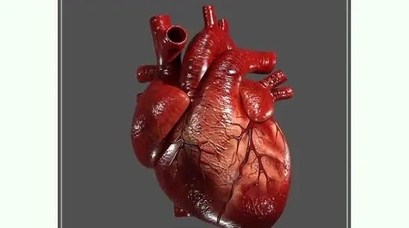 مشهورترین پزشکان برای عمل قلب باز + فیلم