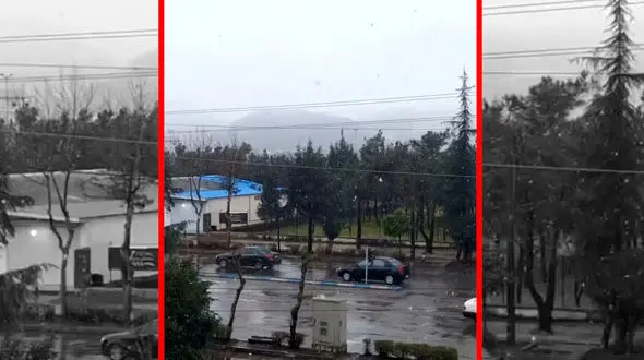 فیلم لحظات دیدنی بارش برف در آستارا