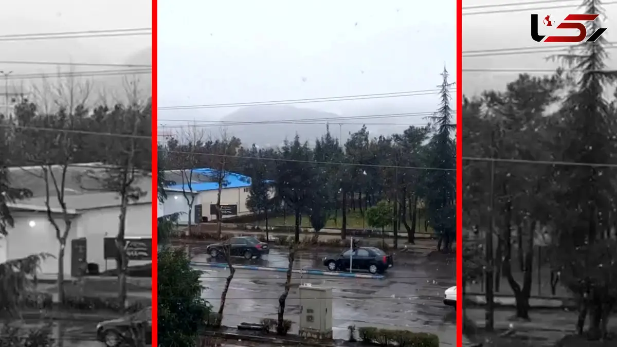 فیلم لحظات دیدنی بارش برف در آستارا