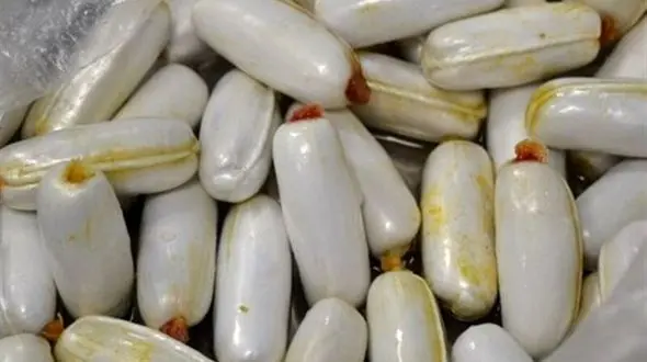 2 مسافر یک کیلو هرویین بلعیده بودند / در تربت حیدریه فاش شد