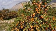 روستایی با نام عجیب در ایران