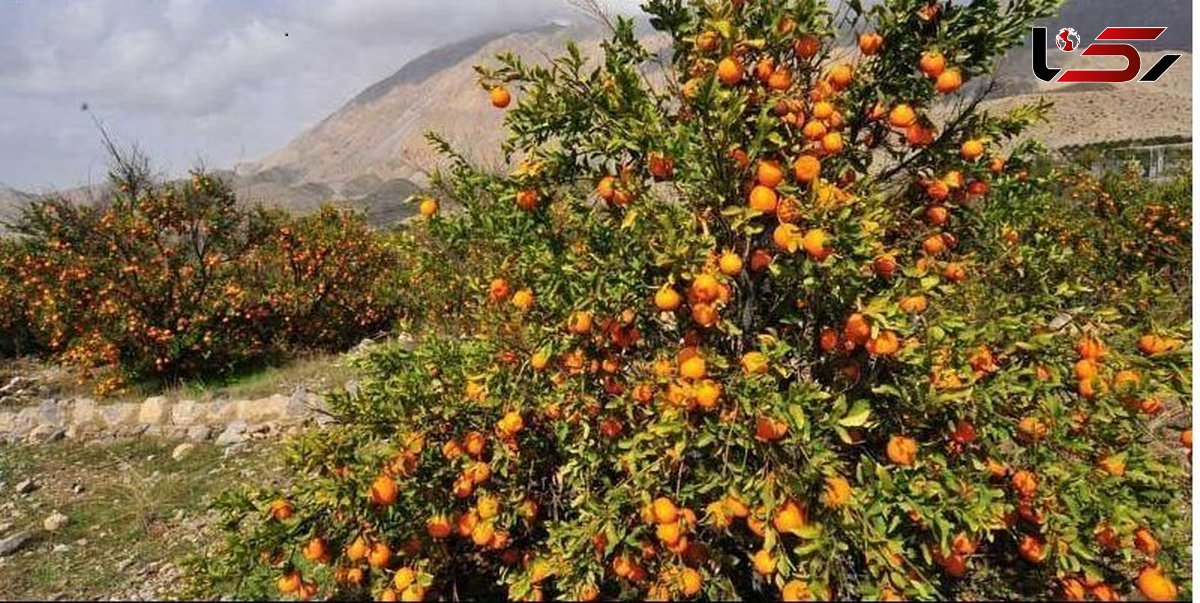 روستایی با نام عجیب در ایران