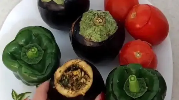 5 مدل دلمه براتون آوردیم / فیلم