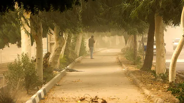 هشدار زرد هواشناسی درباره باد شدید و گرد و خاک در تهران