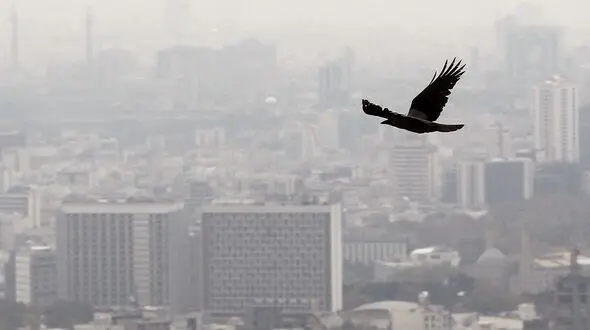 هوای تهران تمیزتر شد