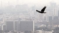  40 درصد سوخت تولیدی در ایران استاندارد است / سوخت غیراستاندارد بیشتر از خودروهای داخلی در آلودگی هوا نقش دارد