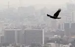  40 درصد سوخت تولیدی در ایران استاندارد است / سوخت غیراستاندارد بیشتر از خودروهای داخلی در آلودگی هوا نقش دارد