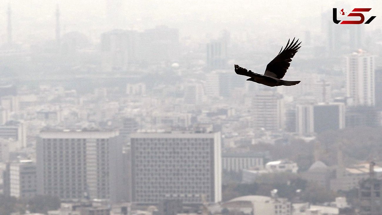 تداوم تنفس هوای آلوده برای گروه های حساس در تهران 