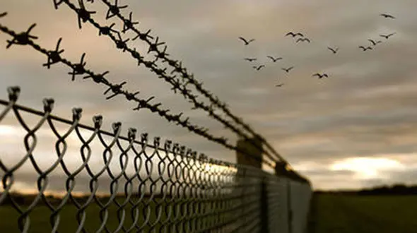 تصاویرِ پربازدید از لحظه آزادی پس از ۲۸ سال 